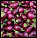 Eggplant - Eggplant