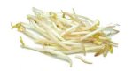 bean sprouts - bean sprouts