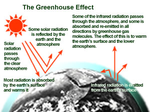 green house  - green house effect