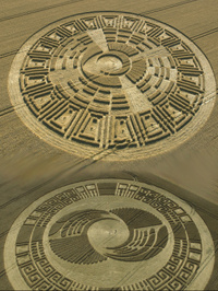 agroglyphic - strange