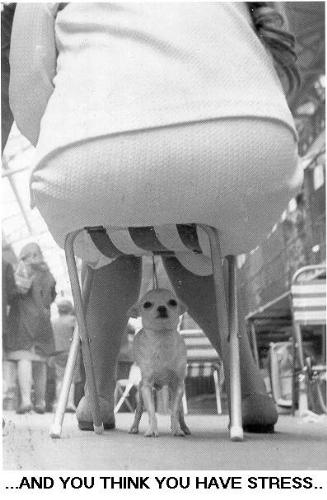 big - butt
