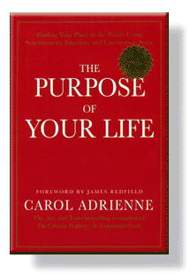 purpose of life - The purpose of life.