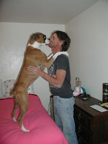 Hello Daddy... I am glad your home - My Boxer Theo, greeting Daddy who just came home from work.