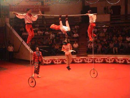 Circus - Circus