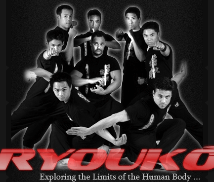 Team ryoko - Martial arts fighters