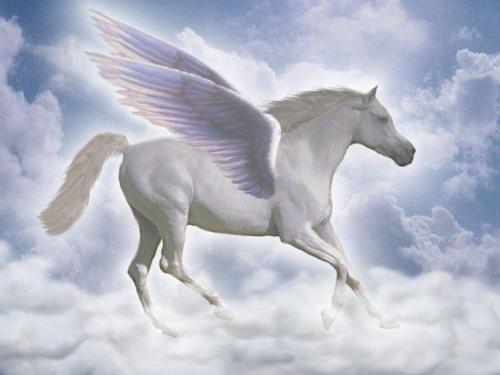love unicorns!!! - i love them so much....