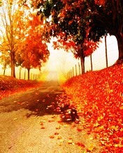 reddish dawn - A beautiful morning...