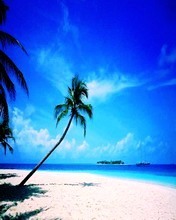 costal area - World is too beautiful...