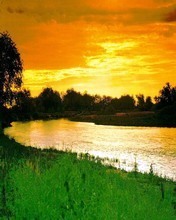 INDIAL FLAG with nature - INDIAN TRICOLOURS ,Can u imagin this..?