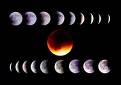 total lunar eclipse - total lunar eclipse