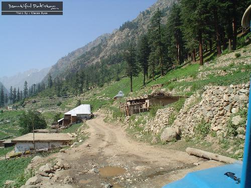 Love Pakistan - Love Pakistan