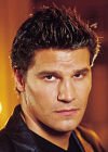 David Boreananaz - Hottie