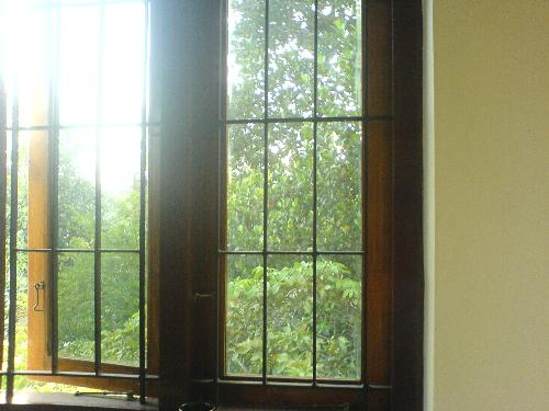 Light from the Window - The early evening light getting in through the window.