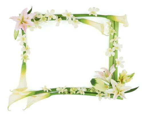 Photo Frame - see how can you fill the colors of your life into this blank photo frame ? 