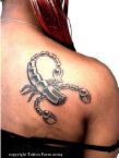 Scorpion - Is other scorpion faced problem this year 2006? Scorpion - Is other scorpion faced problem this year 2006?