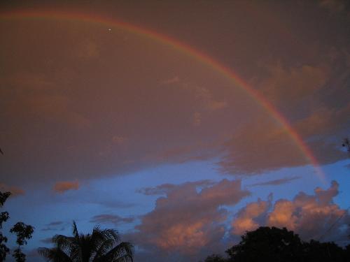 Rainbow - rainbow