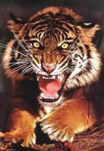 Stay away - beware...
