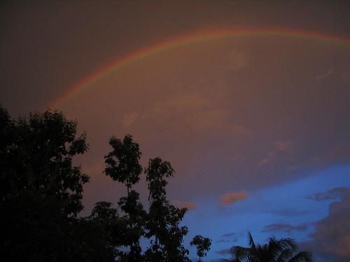 rainbow2 - rainbow