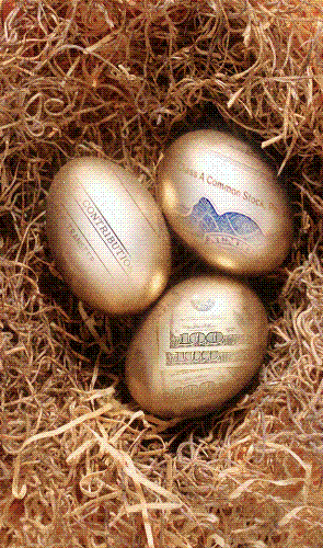 Golden Egg - Nice Reminder Gift 