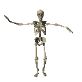 Halloween Pic! - Skeleton Dancing!