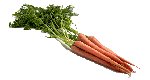 carrots - carrots