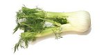 fennel - fennel