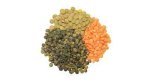 lentils - lentils