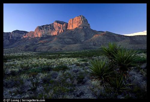 Nature` - I think we can get that in nature