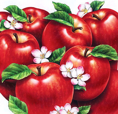 apples - red  apples