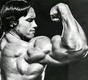 arnold - arnold