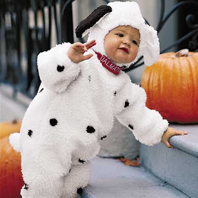 Baby - baby dalmatian