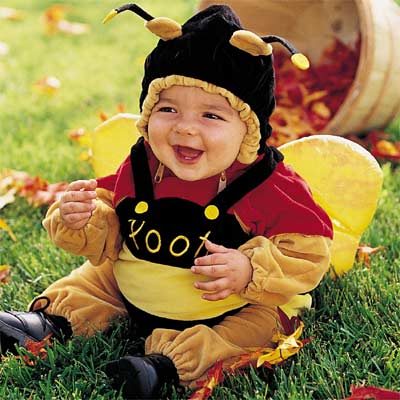 Baby - baby bee