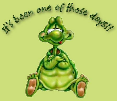 Don't you think he's cute - So what do you think of this one. Give it a rating and a comment!