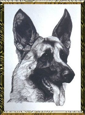 a german shepherd - we have 2 and the kids love them...