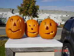 pumpkins - Our Pumkins