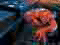 Spiderman - He is Spiderman. He is strong and such as spider
