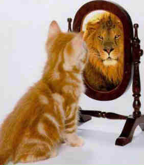Think Positive - Cat in the Mirror. Think Positive.