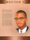 Malcolm X - Malcolm X