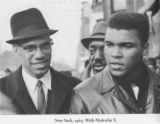 Malcolm X - Malcolm X