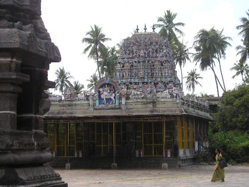 nandi temple - this is the temple of the sacred cow nandi. This particular temple is situated in natraj temple  in tamil nadu, india.