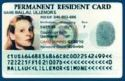 Green Card - photo of someone's green card, legal residency in US