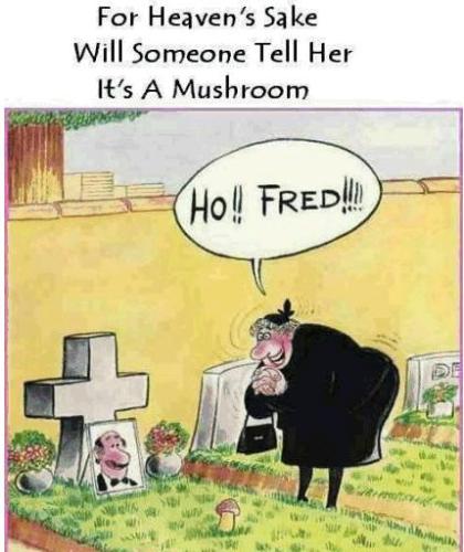 Funny Pics - I like funny pics so let me know what you think