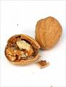 walnut - walnut