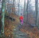 Purpose in Life - Run uphill through woods