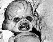 Aliens are Invincible - Aliens are Invincible Aliens are Invincible - Aliens are Invincible