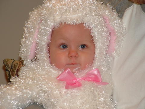 Halloween Last Year - A pic of my princess as a little lamb last year!