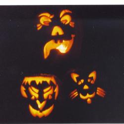 pumpkins - pumpkins