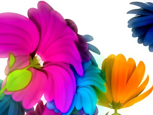 color - the color of the flower