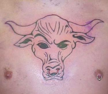 rocky - bull