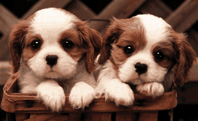 friends - good friends